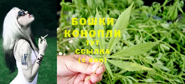 jwh Карпинск