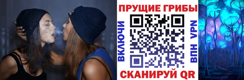 дарк нет какой сайт  Светлогорск  Псилоцибиновые грибы прущие грибы  дарнет шоп 