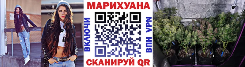 Шишки марихуана марихуана  Светлогорск 